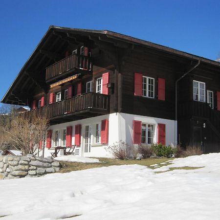 Chalet Aiiny グリンデルヴァルト エクステリア 写真