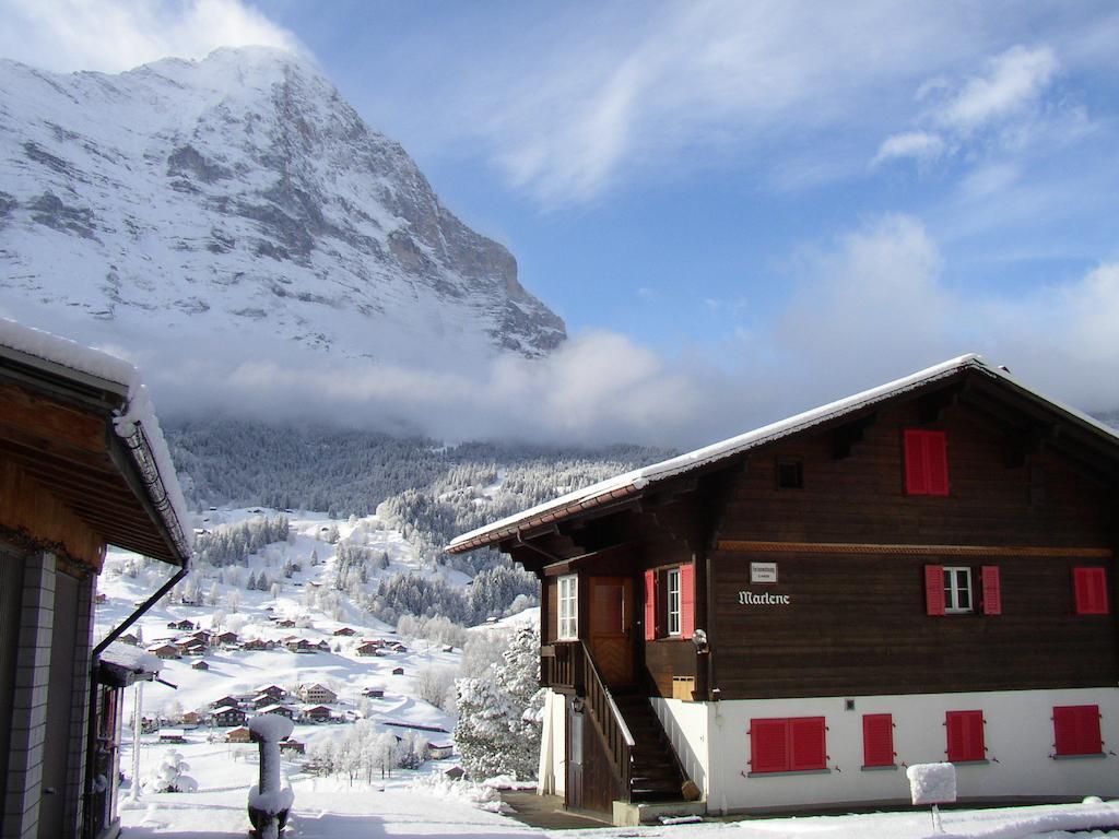Chalet Aiiny グリンデルヴァルト エクステリア 写真