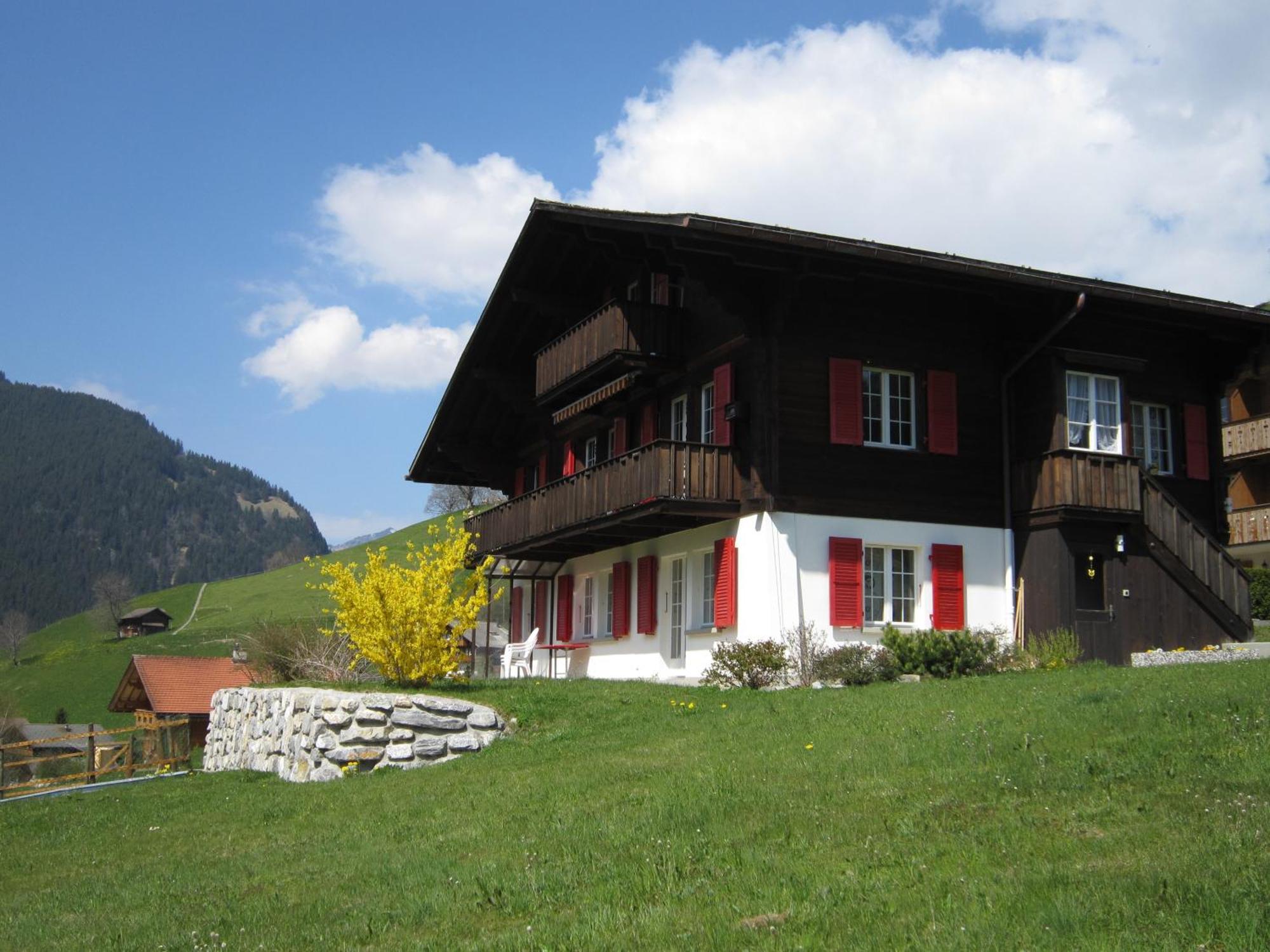 Chalet Aiiny グリンデルヴァルト エクステリア 写真