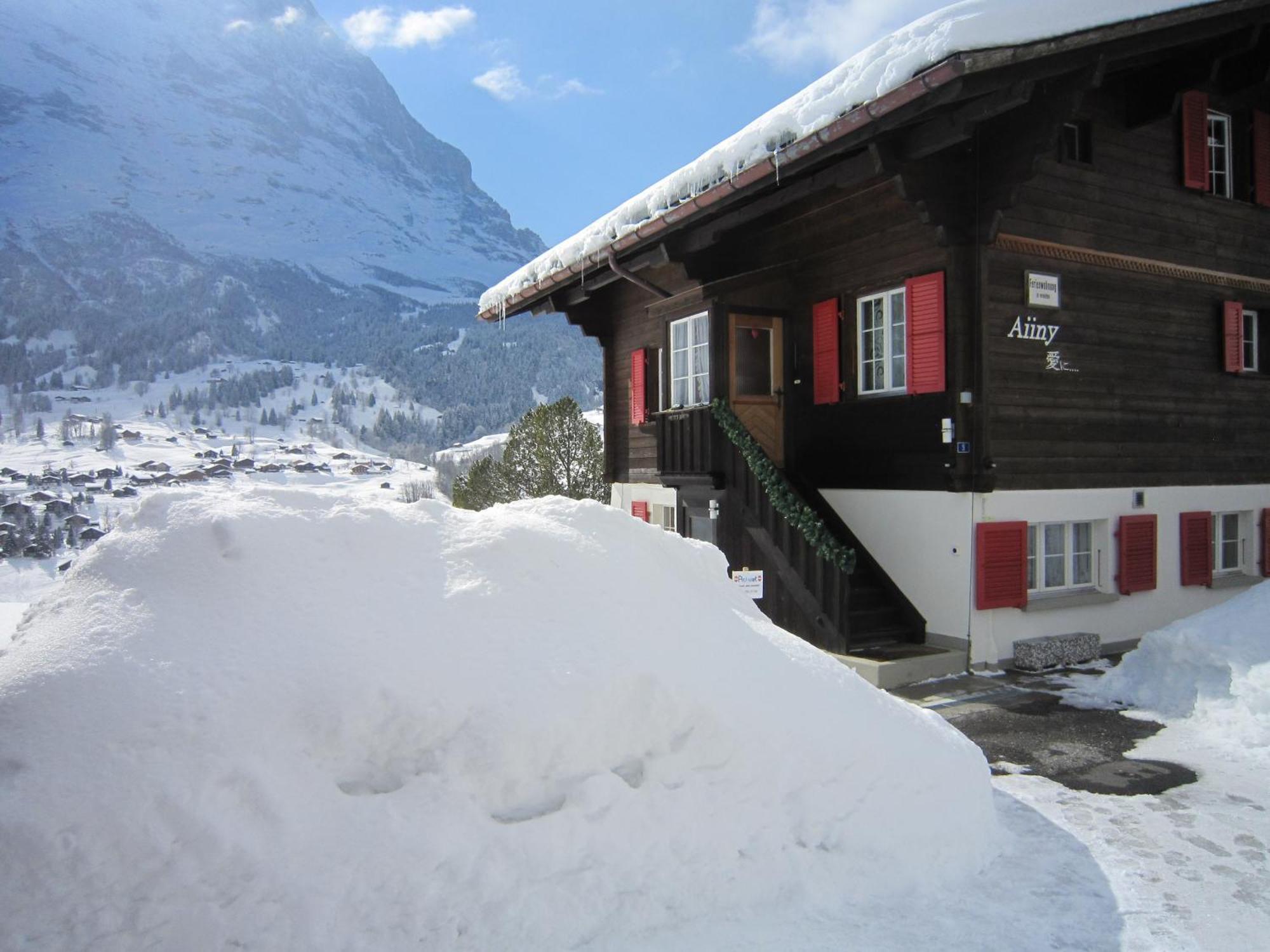 Chalet Aiiny グリンデルヴァルト エクステリア 写真